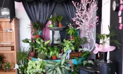 Rosemantico Florist, business photo 1