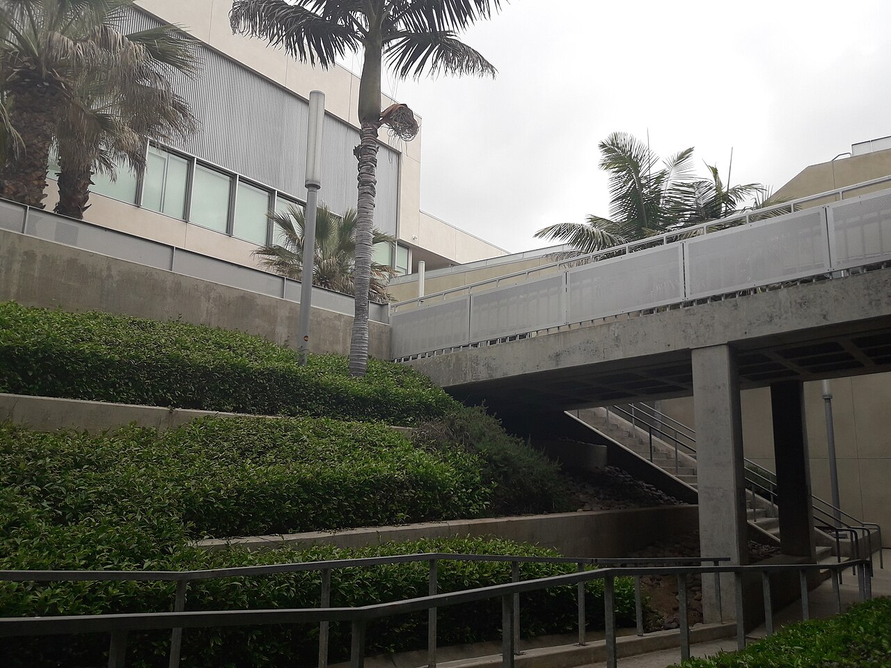 California State University-Dominguez Hills campus