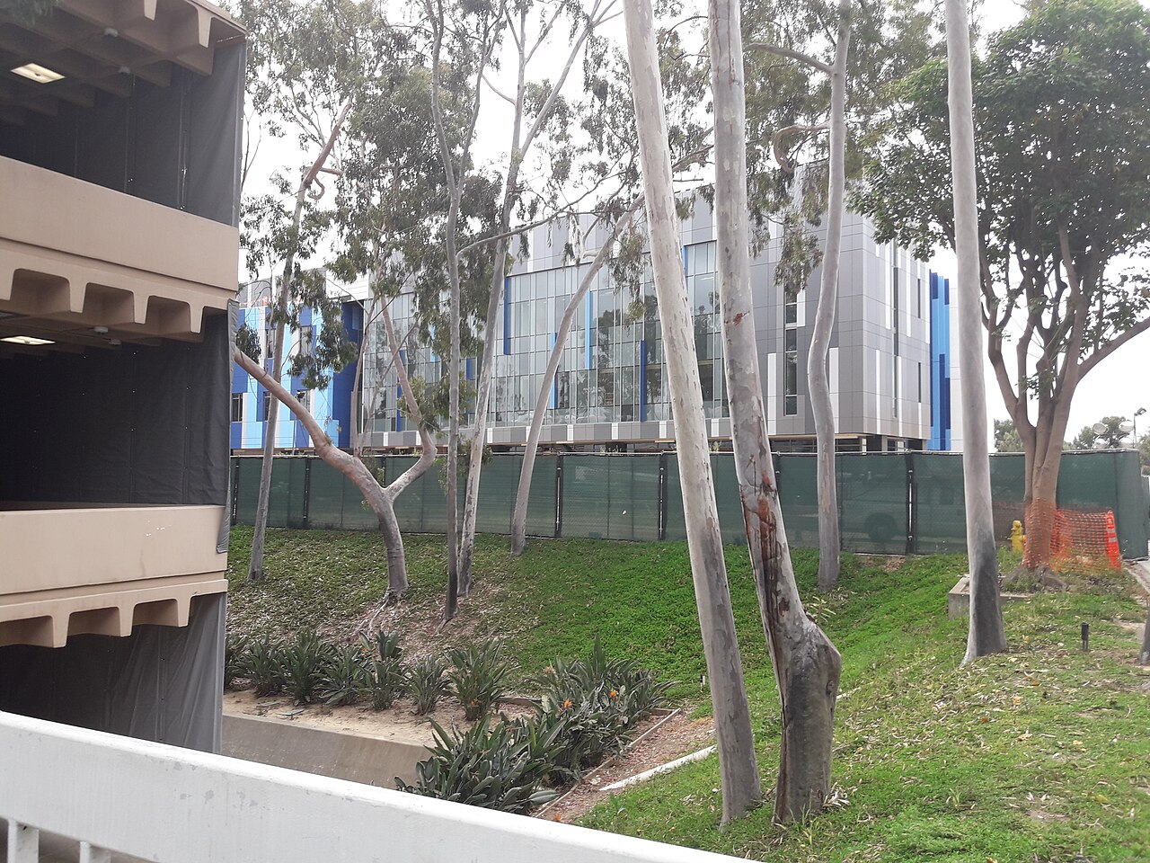 California State University-Dominguez Hills campus